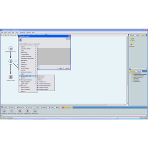 IBM SPSS Statistics Integration