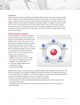Image link: White Paper