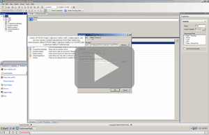 IBM SPSS Data Collection Author: Using Custom Wizards 