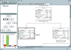 The information highlighted in gray shows the target variable, "payback," the percentage of people who repaid a previous loan. IBM SPSS AnswerTree determined 75 percent of the people in this segment will repay loans.